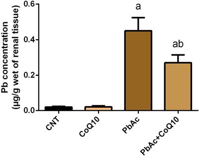 Coenzyme Q10 Activates the Antioxidant Machinery and Inhibits the Inflammatory and Apoptotic Cascades Against Lead Acetate-Induced Renal Injury in Rats